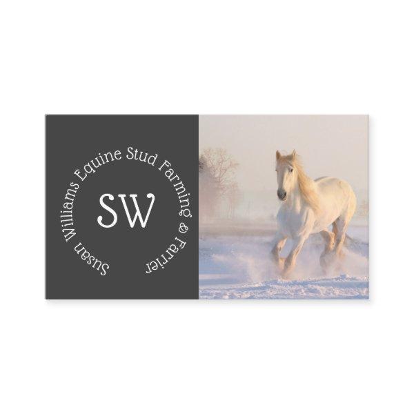 Modern Equine professional DIY photo horse white