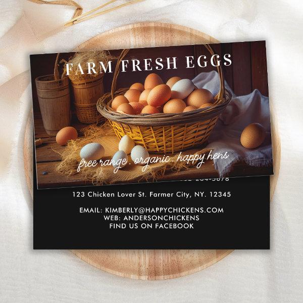 Modern Farm Fresh Eggs Chicken Egg