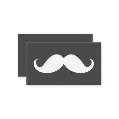 Modern gray mustache professional