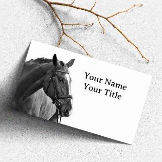 Modern Horse Black and White Equestrian