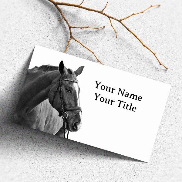 Modern Horse Black and White Equestrian