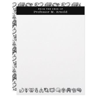 Modern Human Anatomy Science Sketch Personalized Letterhead