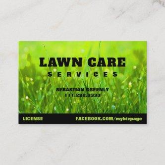 *~* Modern Landscaping Green Grass Lawn Care