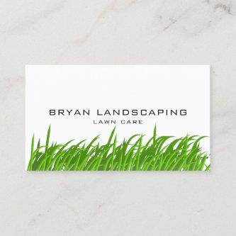 Modern Lawn Care - Landscaping Grass