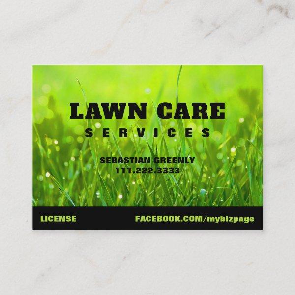 *~* Modern Lawn Care Landscapping Green Grass