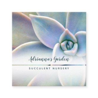 Modern Minimal Succulent Plant Nursery Photo Square