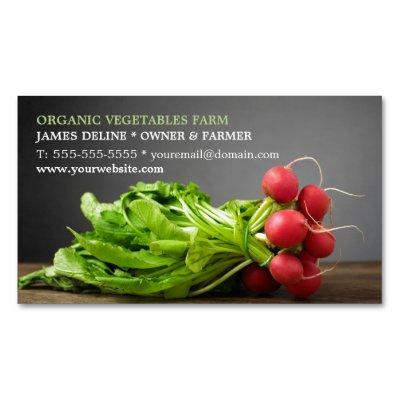 Modern Radish/ Organic Farm Magnetic