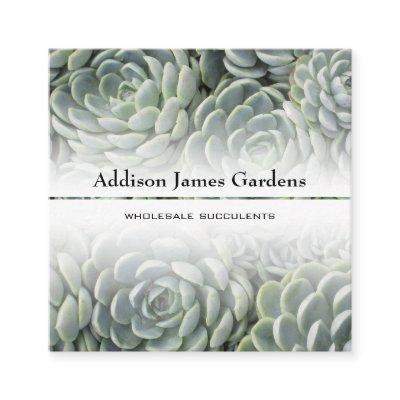 Modern Succulent Garden Nursery Green Botanicals Square