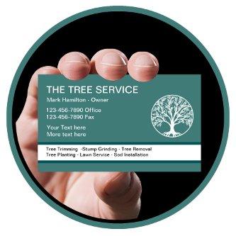 Modern Tree Service And Lawn