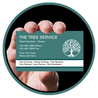 Modern Tree Service And Lawn