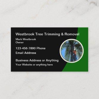 Modern Tree Trimming And Removal