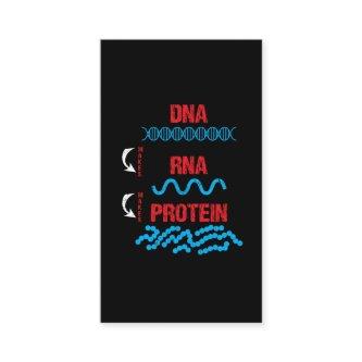 Molecular Biology DNA RNA Protein Cell Biology