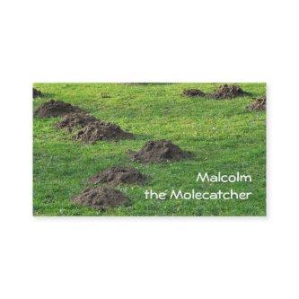 Molehills in a lawn