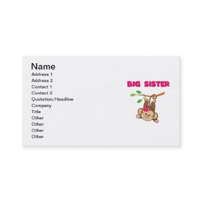 Monkey Big Sister