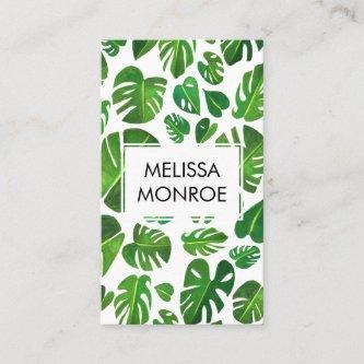 Monstera tropical leaves illustrated watercolor