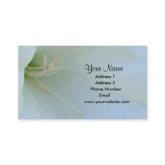 Moonflower