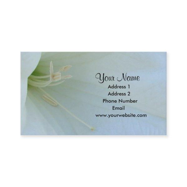 Moonflower