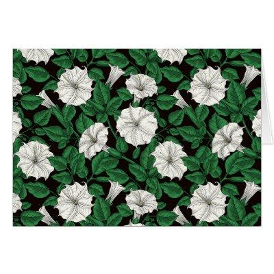 Moonflowers 2