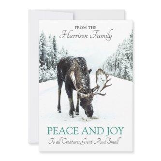Moose In Winter Snow Christmas Peace Joy Holiday Card