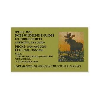 MOOSE WILDERNESS OUTDOOR SERVICES ~