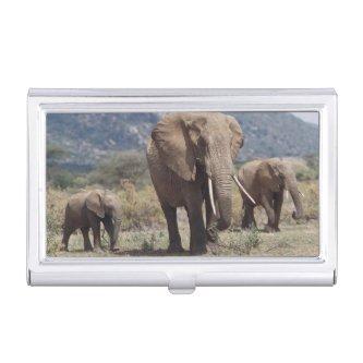 Mother elephant walking with elephant calf  case