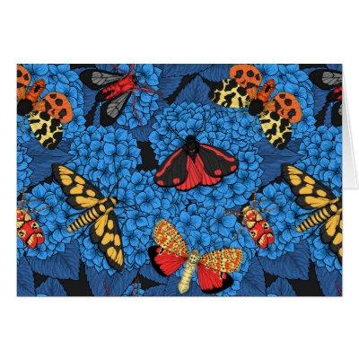 Moths on blue hydrangea