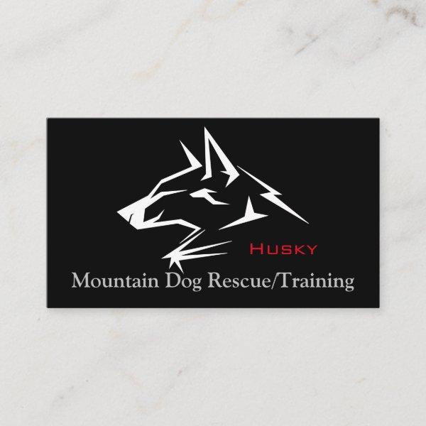 Mountain Dog Rescue/Training