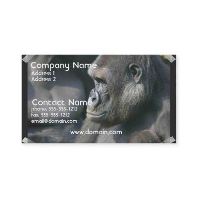Mountain Gorilla