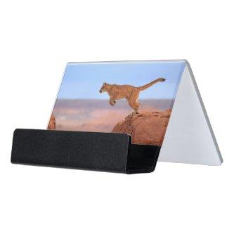 Mountain Lion Desk  Holder