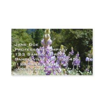 Mountain Lupins at Yosemite