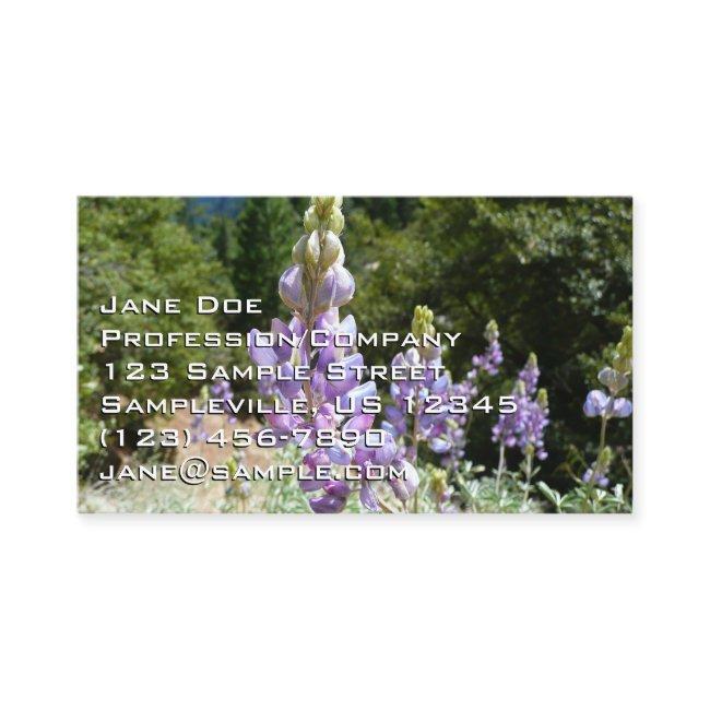 Mountain Lupins at Yosemite