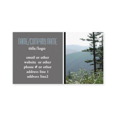 mountain pine trees  photo art
