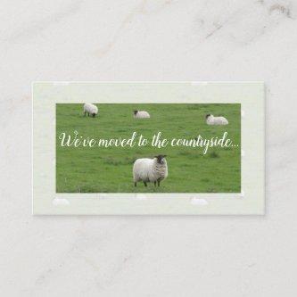 Moving to the countryside new address sheep card