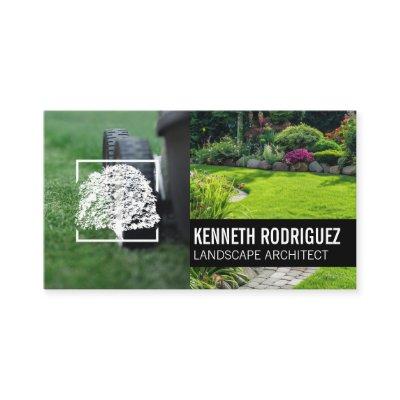 Mower Cutting Grass | Back Yard Garden