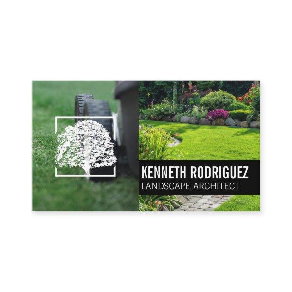 Mower Cutting Grass | Back Yard Garden