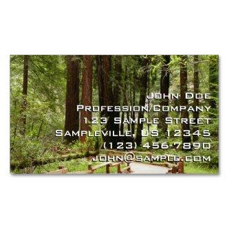 Muir Woods Path I Nature Photography  Magnet