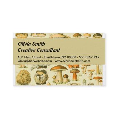 Mushroom Vintage Toadstool Antique Illustration