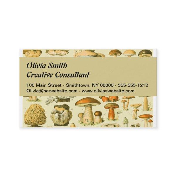 Mushroom Vintage Toadstool Antique Illustration