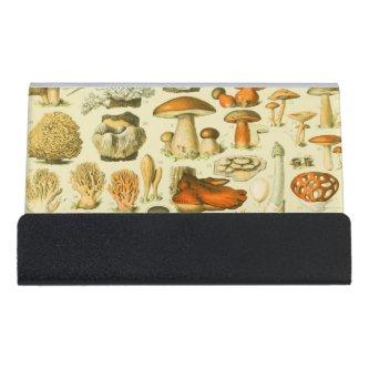 Mushroom Vintage Toadstool Antique Illustration Desk  Holder