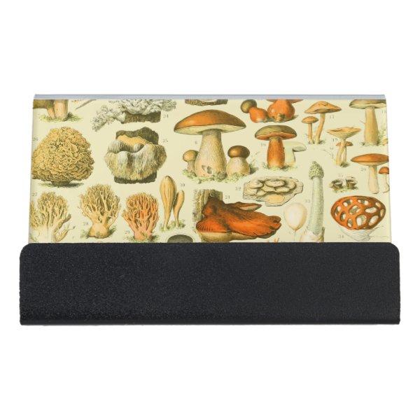 Mushroom Vintage Toadstool Antique Illustration Desk  Holder