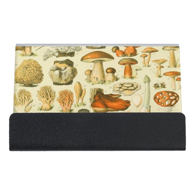 Mushroom Vintage Toadstool Antique Illustration Desk  Holder