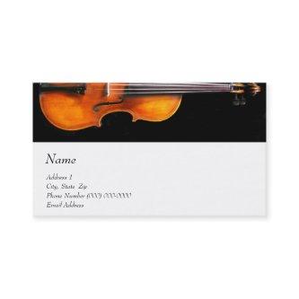 Music  for The Violin Site