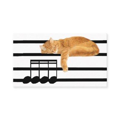 Musical tabby kitty cat
