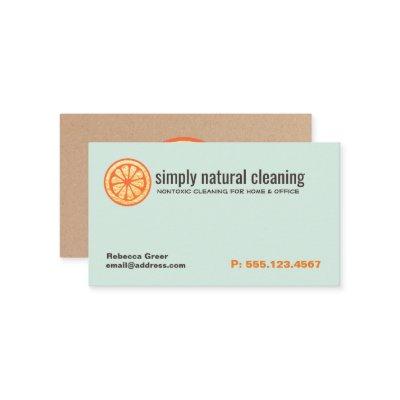 Natural Cleaning Service Orange Sponge