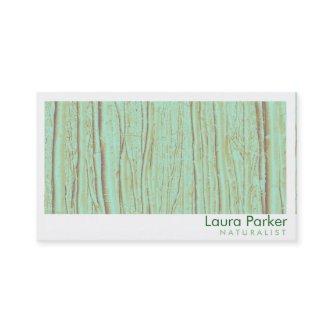 Natural Forest Birch Tree Care Landscape Lawn