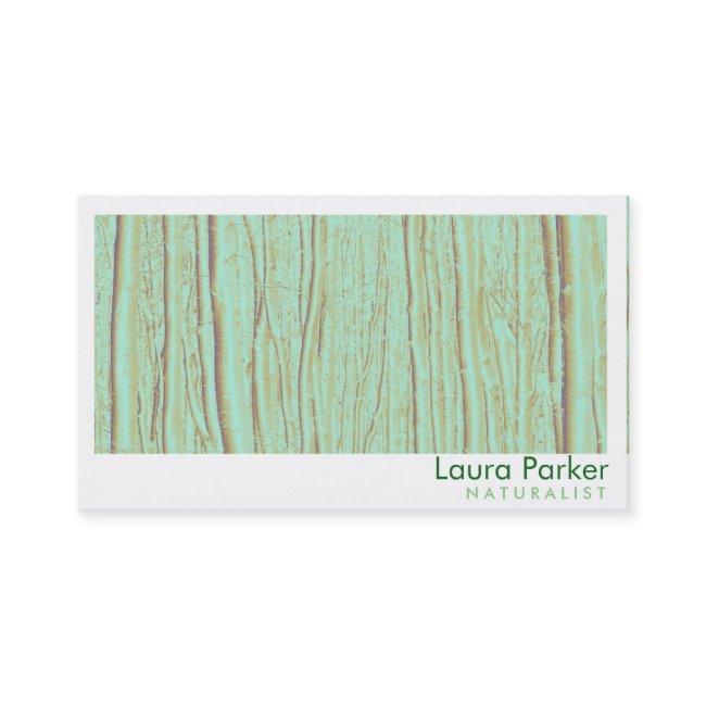 Natural Forest Birch Tree Care Landscape Lawn
