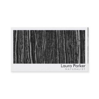Natural Forest Birch Tree Care Landscape Lawn