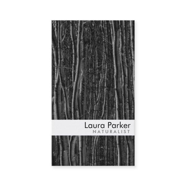Natural Forest Black Tree Care Landscape Lawn