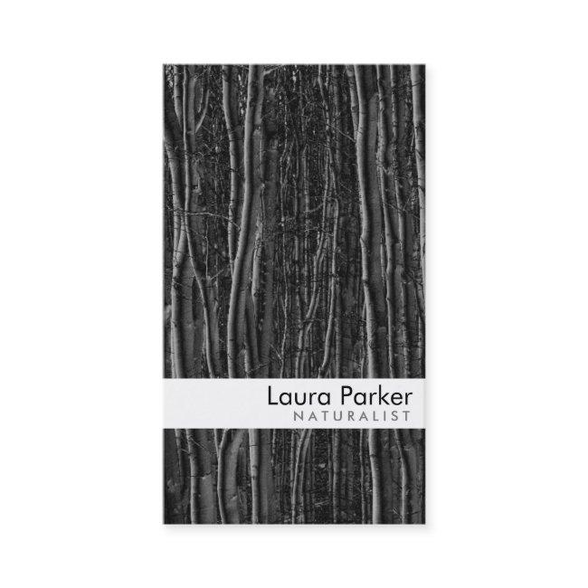 Natural Forest Black Tree Care Landscape Lawn