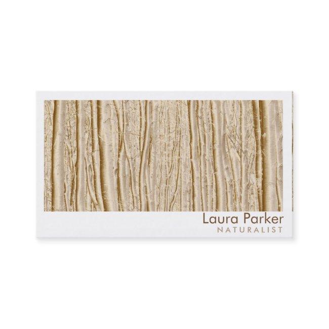 Natural Forest Brown Tree Care Landscape Lawn